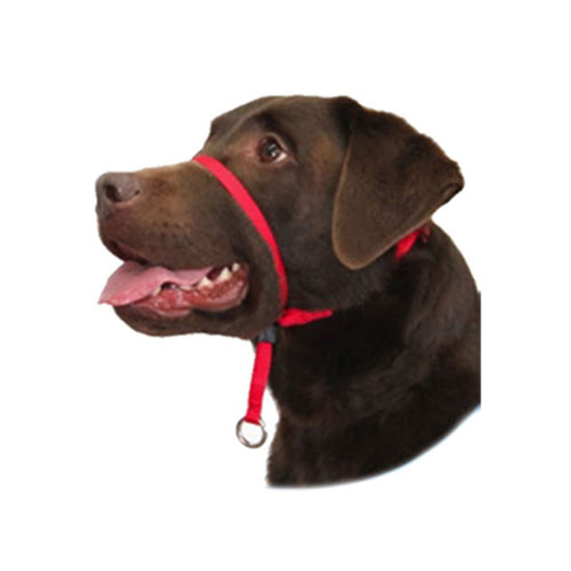 Gentle Leader Dog Head Collar