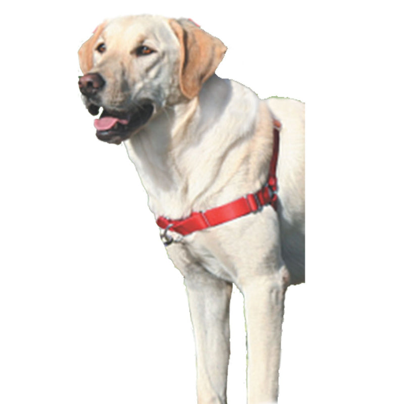 Leaser delicata Easy Walk Dog imbracatura