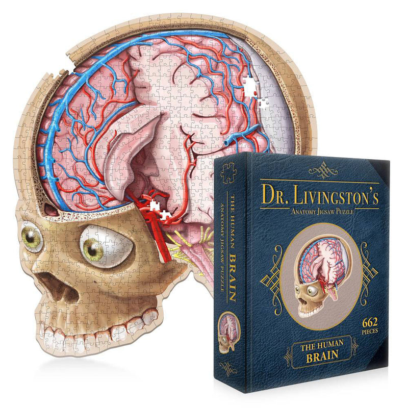 Dr. Livingston's Anatomy Collegsaw Puzzle