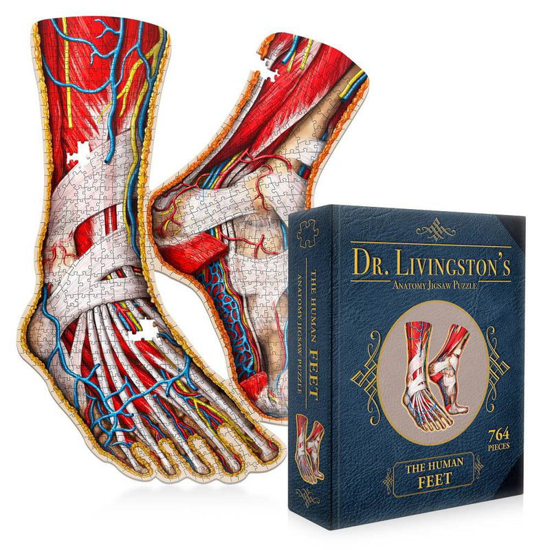 Dr. Livingston's Anatomy Collegsaw Puzzle