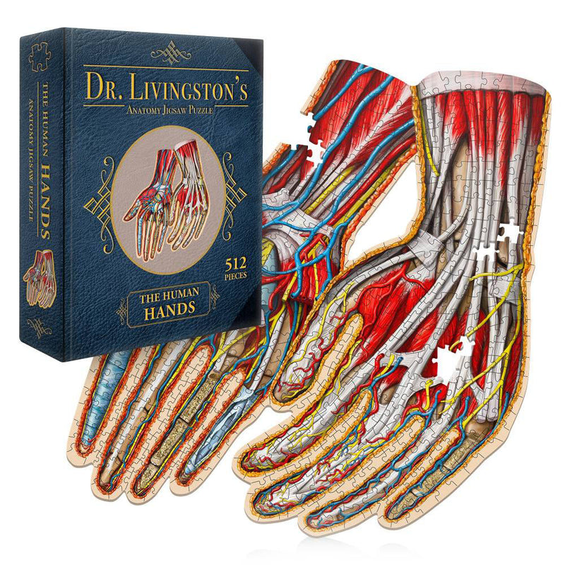 Dr. Livingston's Anatomy Collegsaw Puzzle