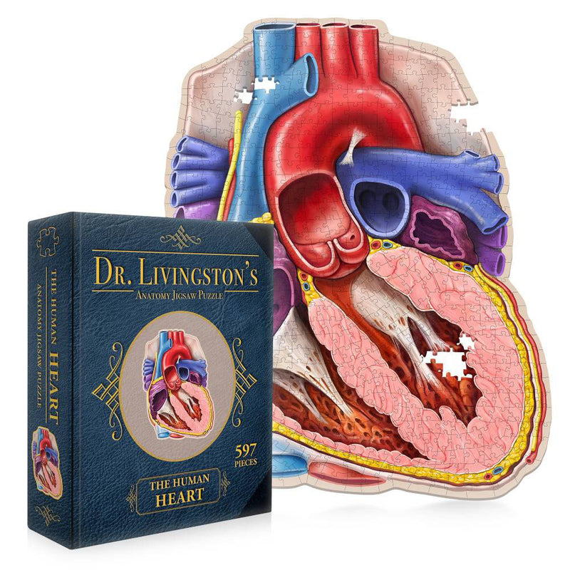 Dr. Livingston's Anatomy Collegsaw Puzzle