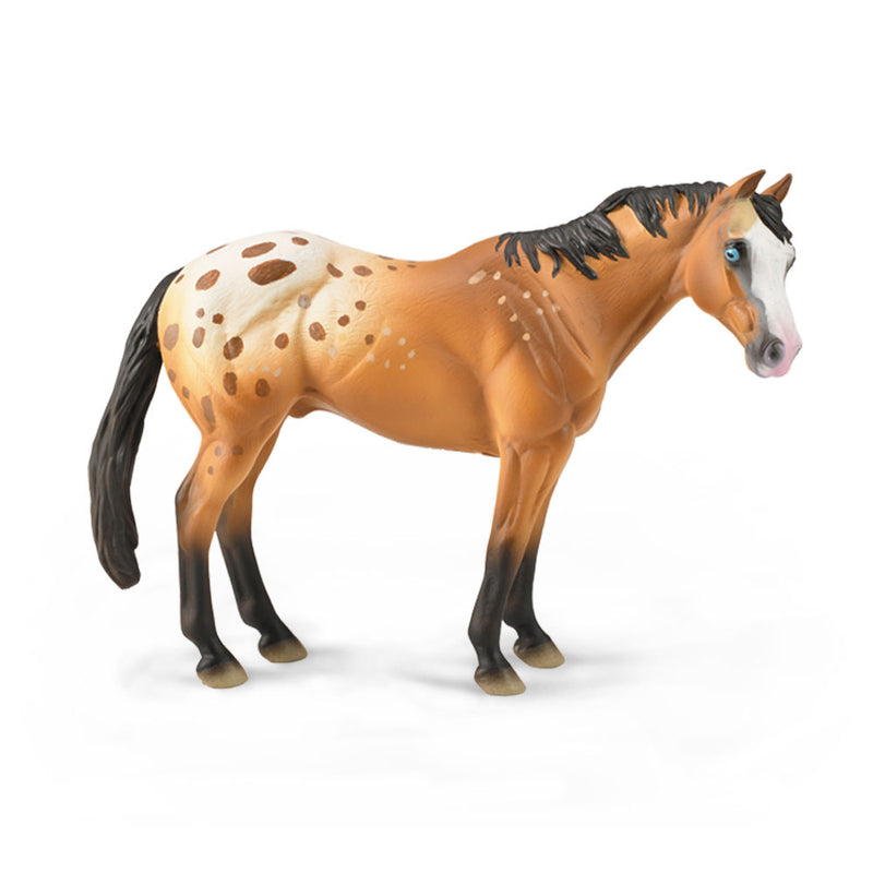 Figura da stallone di collezione Appaloosa (XL)