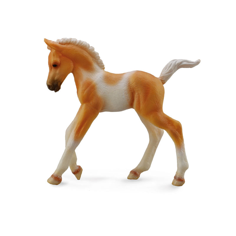 Figura palomino del puledro da collezione pinto (mezzo)