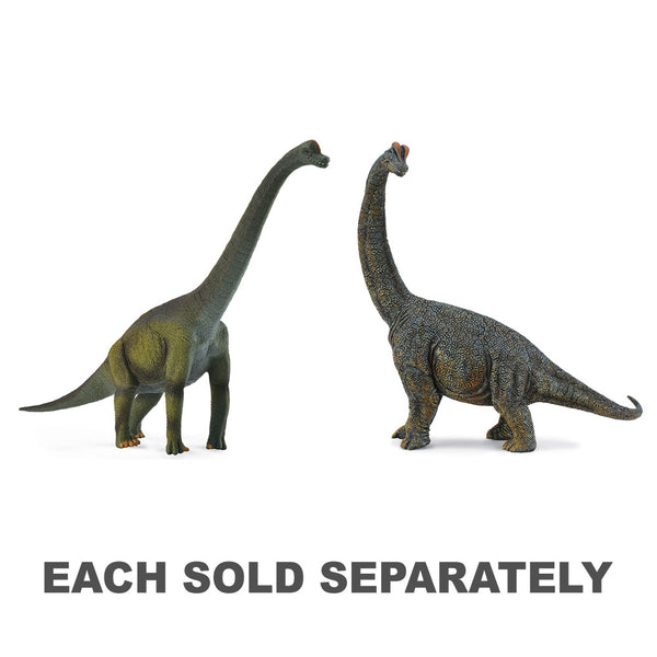 CollectA Brachiosaurus Dinosaur Figure