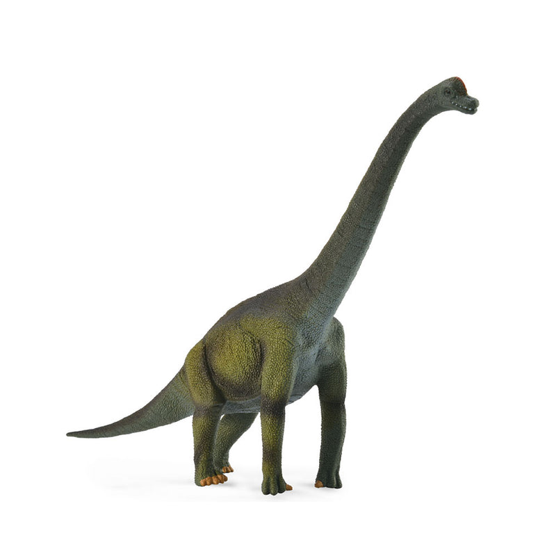 Figure de dinosaure Collecta Brachiosaurus