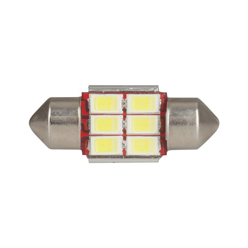 CanBus Compatible LED Festone Globe 12V (6x5730)