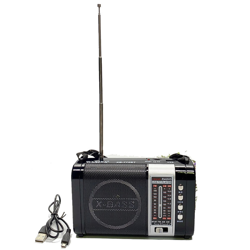 Radio multifonctionnel Bluetooth