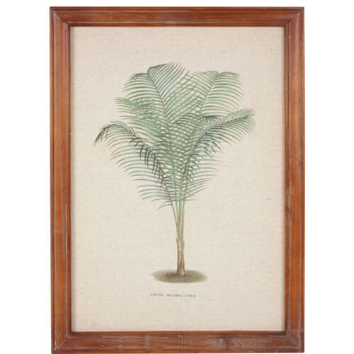 Framed Vintage Palm Wall Art (38x52x1.8cm)