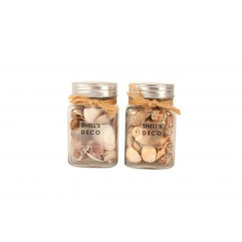 Mixed Shells in Glass Mason Jar with Ribbon Nat (12x7.5cm)