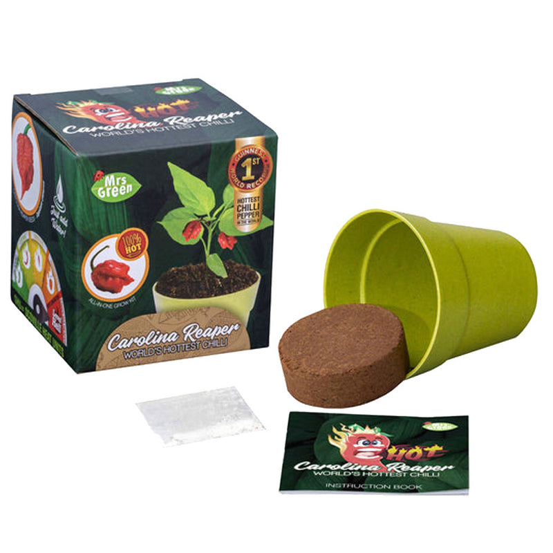 Mrs. Green Whimsy Gartenpflanzen-Kit