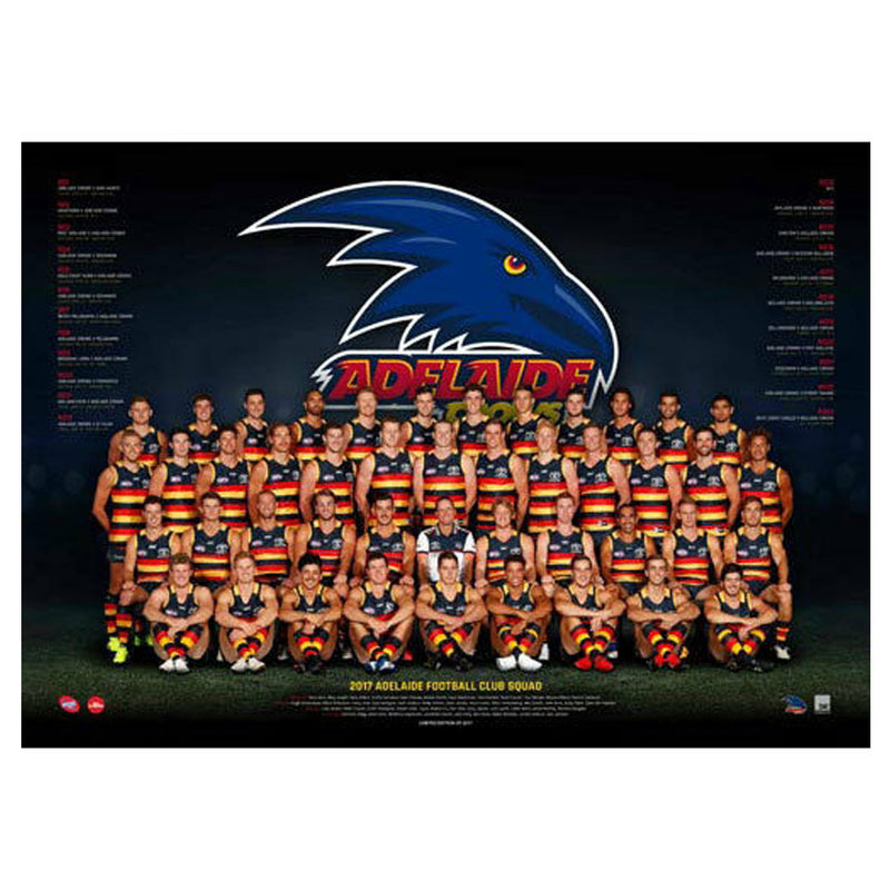 Poster del team AFL 2017