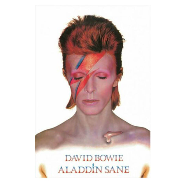 David Bowie Aladdin Sane Poster