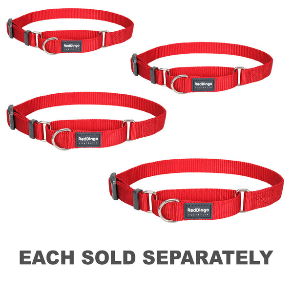 Classic Martingale Collar (Red)